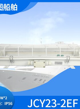 艳阳TCYA20-2A船用双管直管荧光灯舱顶灯JCY/ZYC23-2EF应急网罩