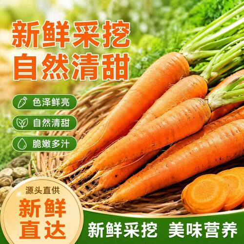 新疆胡萝卜现挖顺丰直发5斤包邮