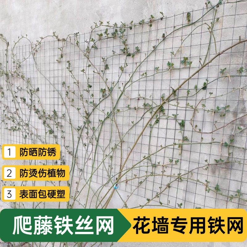 月季爬藤网粉龙蔷薇植物上墙牵引网防锈铁丝网花墙网爬藤支架网,五金/工具,安全网,淘宝优惠券,粉丝福利购,淘宝优惠卷