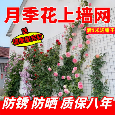 月季爬藤铁丝网加粗防锈防烫伤