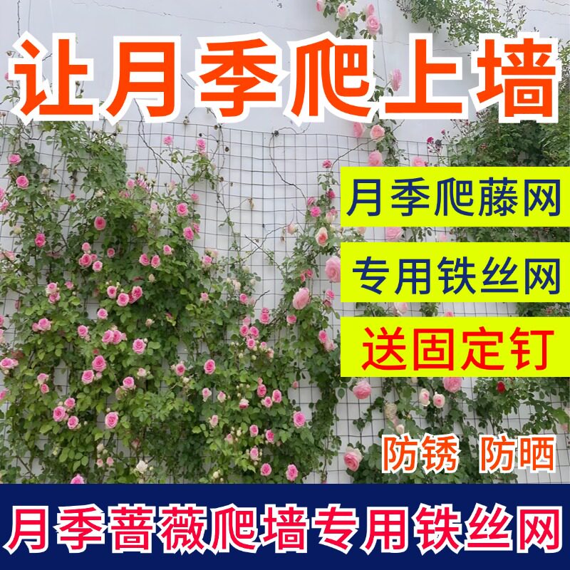 月季爬藤铁丝网加粗防锈防烫伤图片