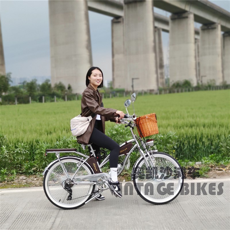 初恋女友自行车复古风情怀轻奢女性单车经典2N4寸电镀白钢气质淑