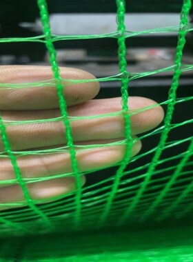 绿色带遍绳1.h5厘米孔防鸟网大棚通风口专用蔬菜大棚放风口防鸟网