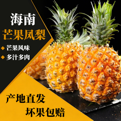海南凤梨新鲜菠萝树上熟多汁