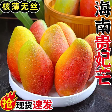 海南贵妃芒芒果新鲜水果当季树上熟辣椒芒整箱热带特产大果包邮