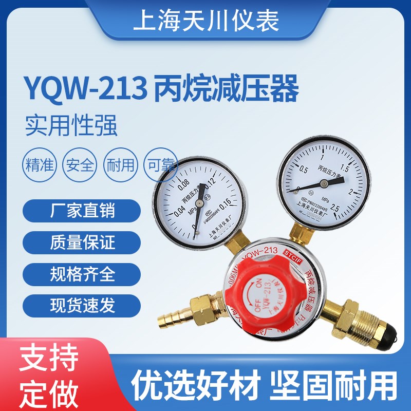 天川牌YQW-213上海减压器丙烷减压器调压器压力表调压阀稳压器