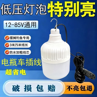 摆摊灯夜市灯72v60v48v12v通用灯低压地摊灯插电瓶车三轮车专用灯