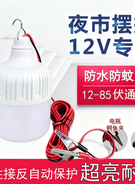 12v低压led灯摆摊灯夜市灯电动车电瓶灯24V36V48V60V低压直流球泡