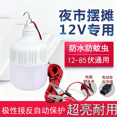 12v低压led灯摆摊灯夜市灯电动车电瓶灯24V36V48V60V低压直流球泡