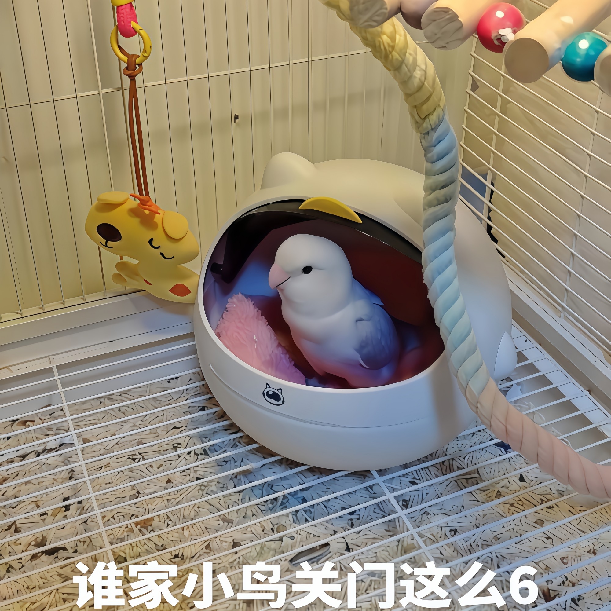 鸟窝冬季通用宠物鸟窝桌面垃圾桶高颜值迷创意新型鸟巢鹦鹉繁殖窝,宠物/宠物食品及用品,鸟窝,淘宝优惠券,粉丝福利购,淘宝优惠卷