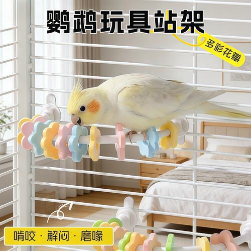 鹦鹉花瓣站架磨爪解闷玩具
