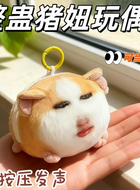 猪妞挂件毛绒玩具搞怪荷兰猪仙女下凡玩偶可发声表情包娃毛绒公仔