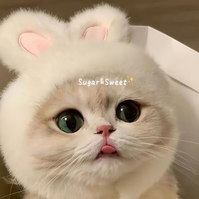 超萌宠物头套狗狗变装帽子