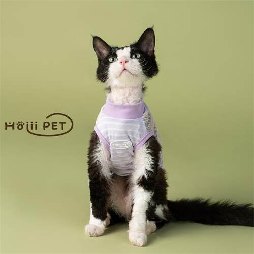 HOiii PET夏季可爱网眼凉凉衣德文猫衣服薄款无毛猫背心透气好穿