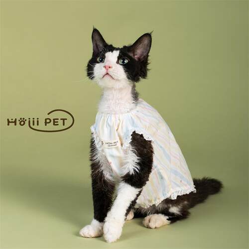 HOiii PET 韩版可爱印花裙德文猫衣服纯棉无毛猫背心裙可爱透气