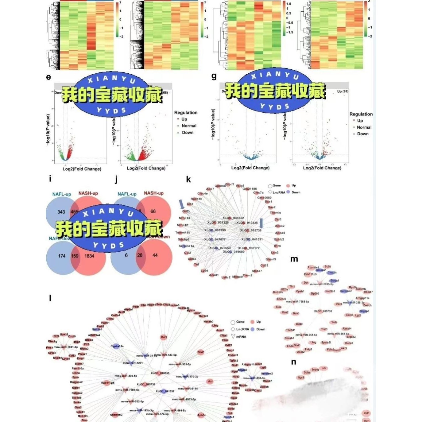 R语言代码脚本整理总结 转录组学 蛋白组学 GEO数据挖掘 TCGA数据