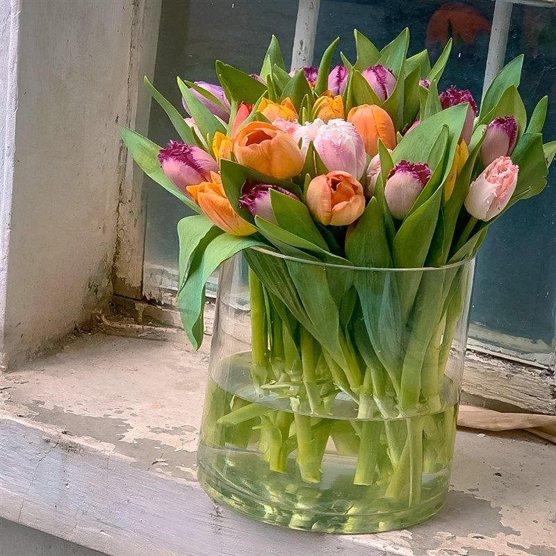大口径花瓶玻璃透明敞口r宽口广口专用水培器皿特大号大型醒花桶,家居饰品,花瓶,淘宝优惠券,粉丝福利购,淘宝优惠卷
