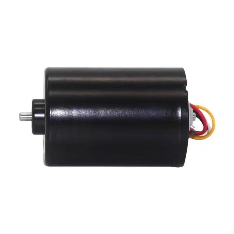 3650无刷电机直流电12V24V内置驱动微型大功率智能家居.调速小马