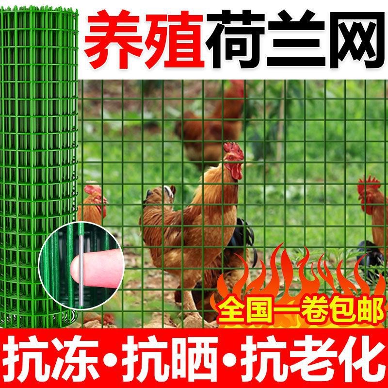 加粗铁丝c网养殖网养鸡围栏网果园圈地防护网隔离栏铁网格网拦鸡
