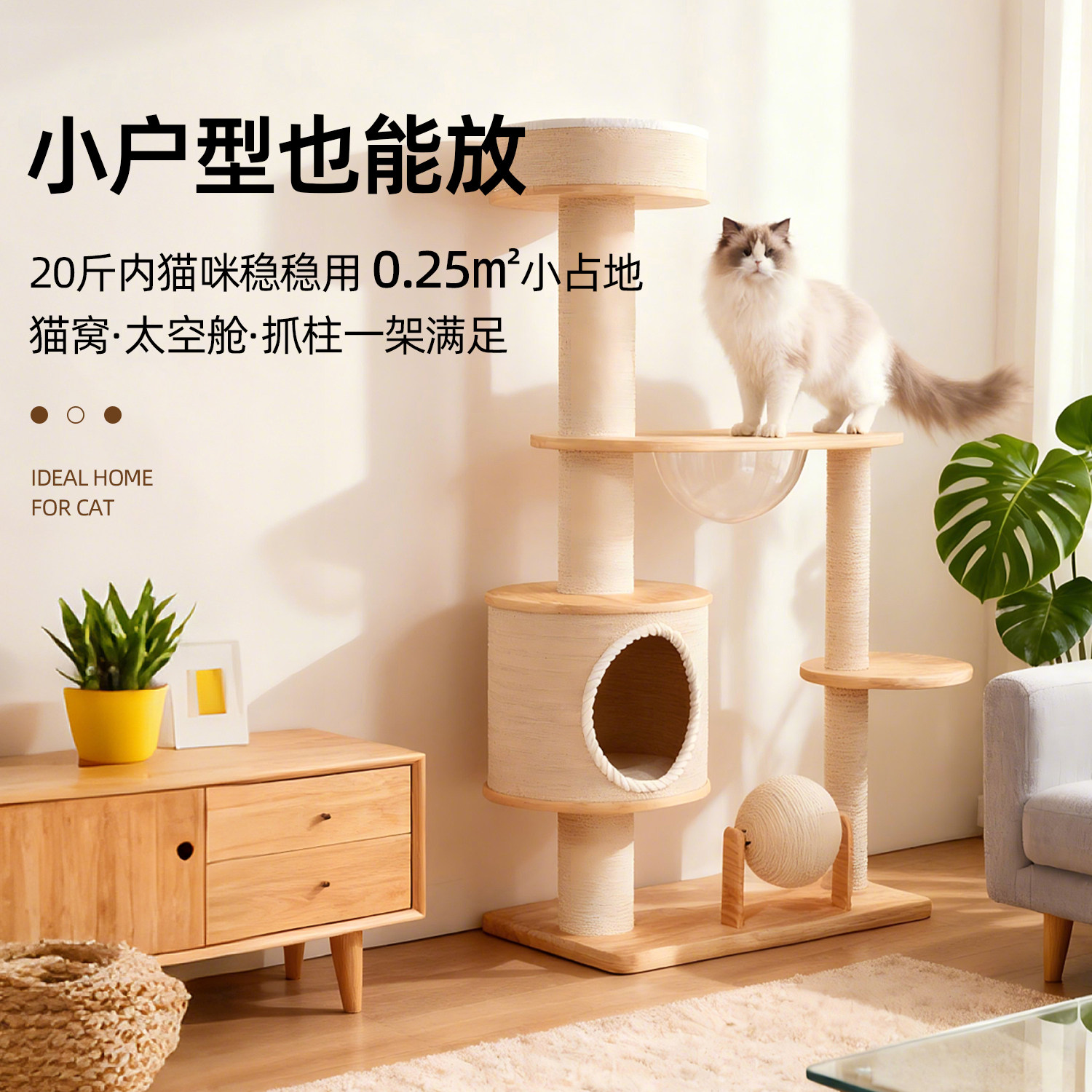 猫爬架家用小户型不占地