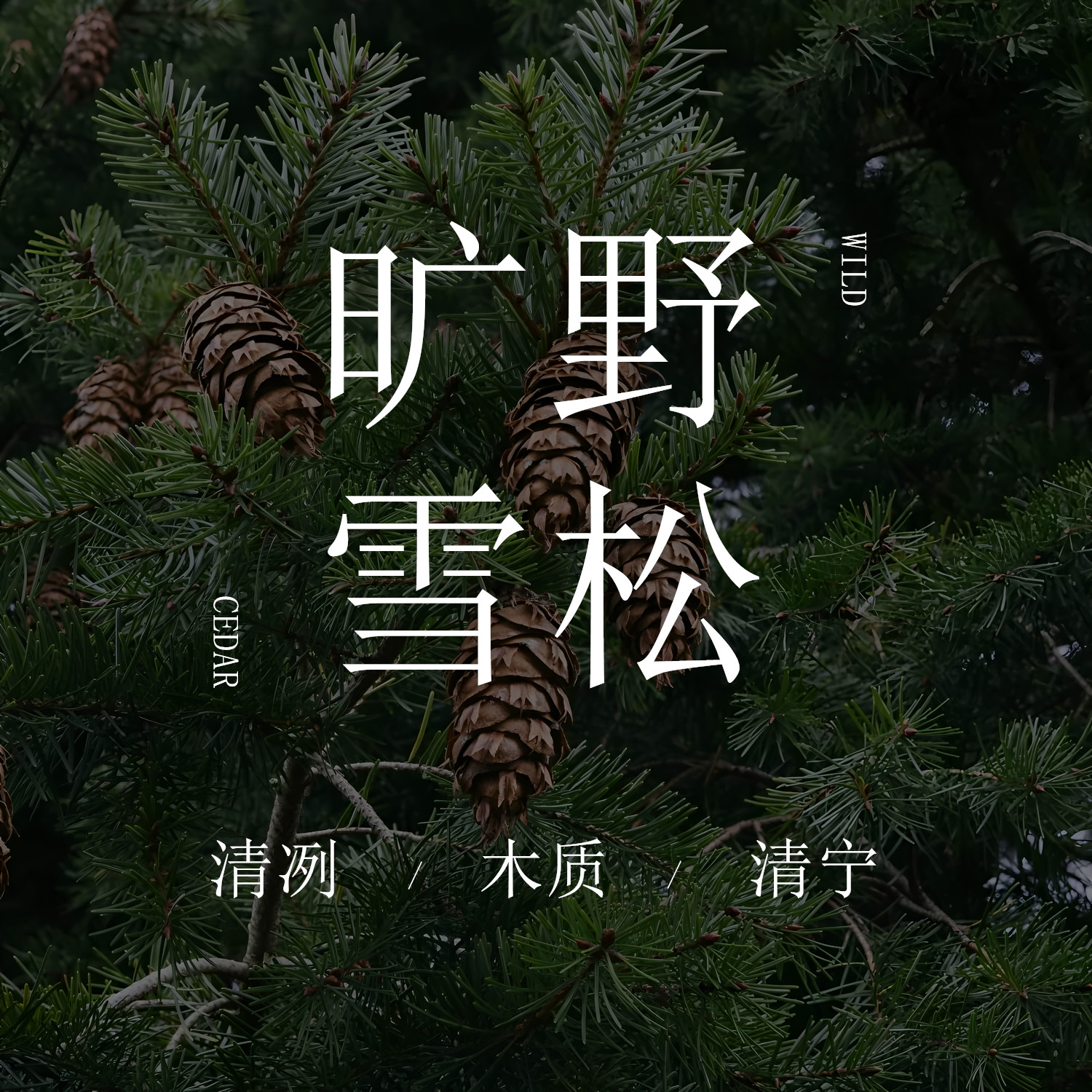 《旷野雪松》胭雨阁木质雪松香袋车载香薰衣柜衣橱香包香囊伴手礼