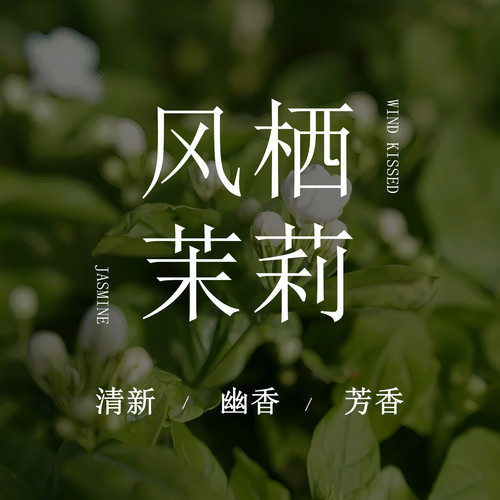 胭雨阁风栖茉莉车载香薰袋礼盒