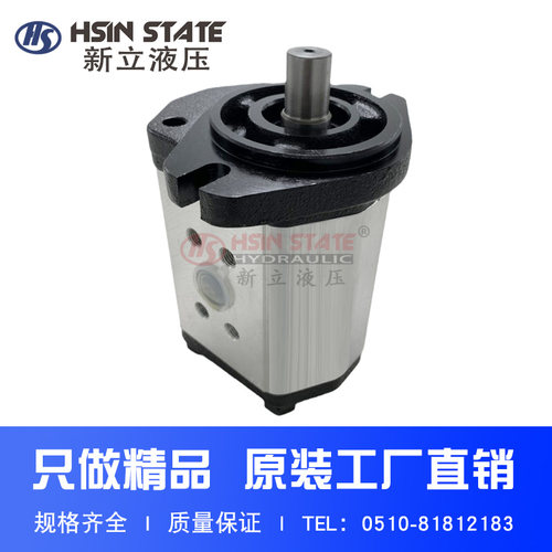 齿轮泵BHP2.5A1D45C2F1/D14/D16/D18/D20/D25/D28/D30/D36/40C2F1