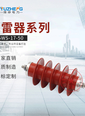 10KV无间隙氧化锌避雷器HY5WS2-17/50 复合外套硅橡胶HW5WZ-10/27