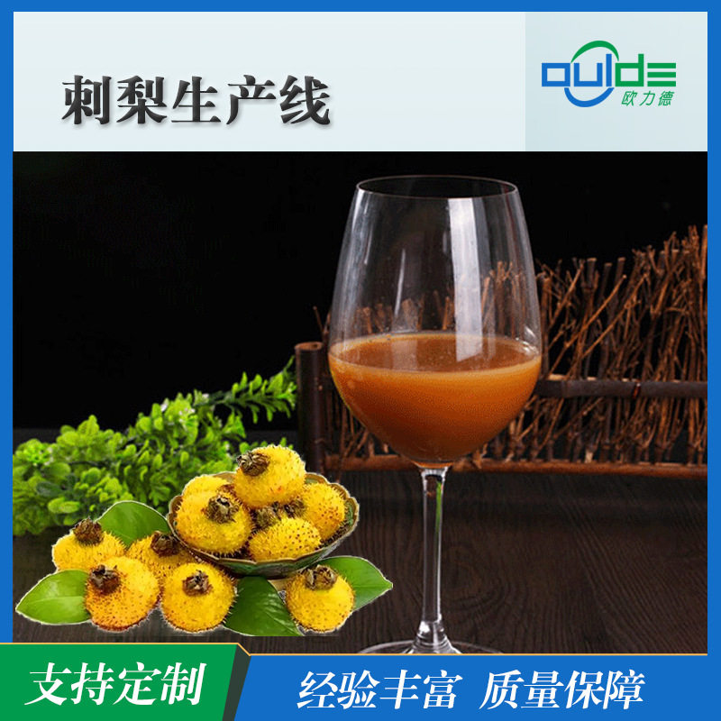 厂家直供大小型果汁果酱饮料刺梨浊汁全自动生 产线
