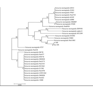 医学数据分析医学数据库gbd/nhanes数据库生信数据分析