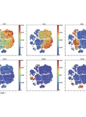 NCBI blast多序列比对服务