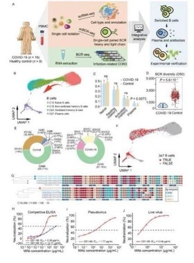 整套生信分析服务多组学联合TCGA GEO公共数据库挖掘单细胞测序