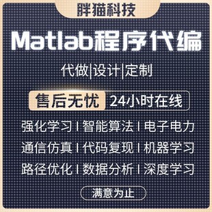 Matlab代码帮做程序代编图像处理通信仿真路径规划复现算法优化