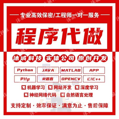 计算机c/c++代码编写python程序代做java系统开发qt设计c#接单R