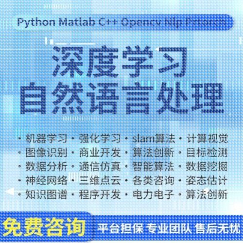 python代编程机器深度学习代码接单调试跑通神经网络知识图谱图像