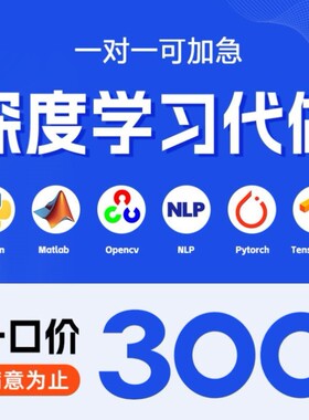 python代编程序机器深度学习代码指导问题解决调试代做作编写接单