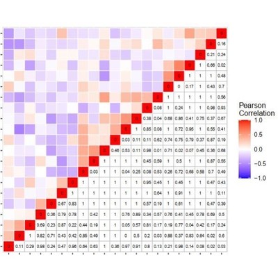 生信分析/进化树/共线性分析/circos画图/GO圈图