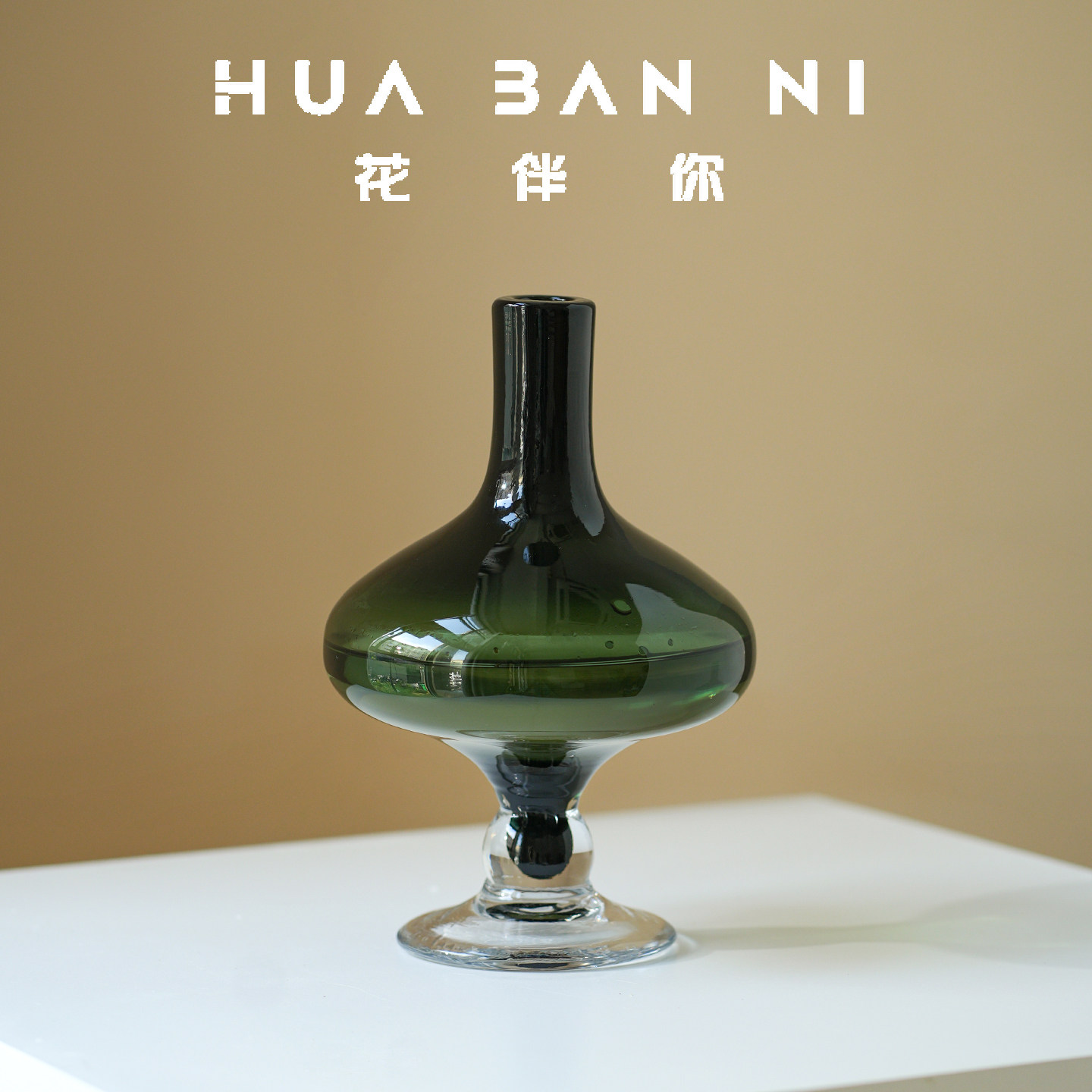 高级感玻璃花瓶摆件水养鲜花艺术中古花器小口大肚鲜花瓶小众跨境