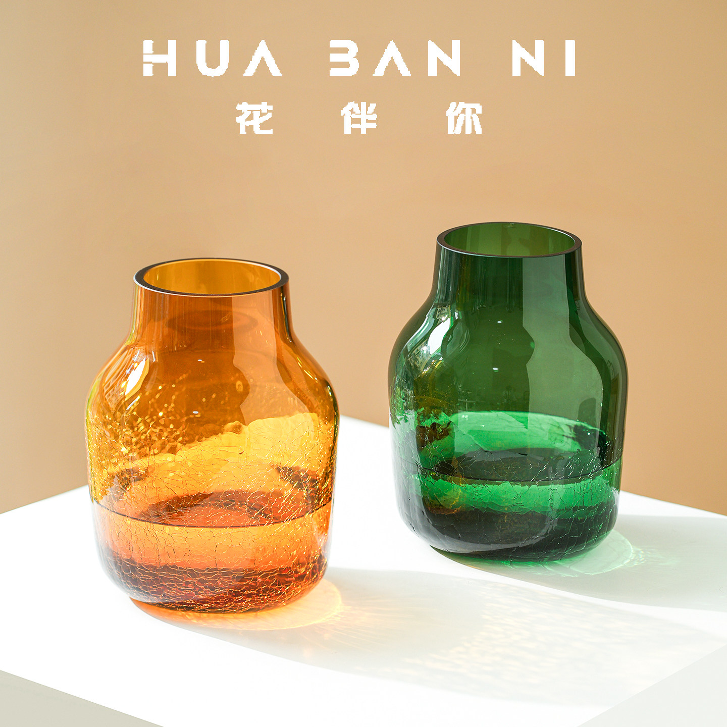 木托中古风高级感玻璃花瓶摆件客厅插花水养鲜花高级感轻奢风花器