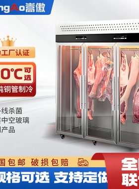 挂肉柜商用牛羊肉鲜猪肉冷藏展示柜保鲜柜排酸柜吊肉立式冷冻冰柜