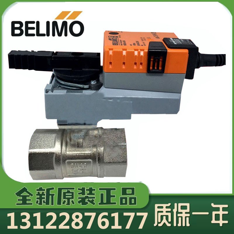 正品搏力谋R2020 25 32 40 50 LR24A NR电动比例调节球阀螺纹水阀