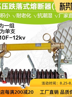 电力户外高压跌落式熔断器 RW10-10F 3支一组安全防护 厂家直销