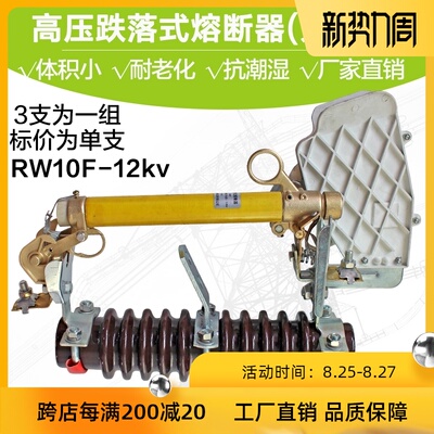 电力户外高压跌落式熔断器 RW10-10F 3支一组安全防护 厂家直销