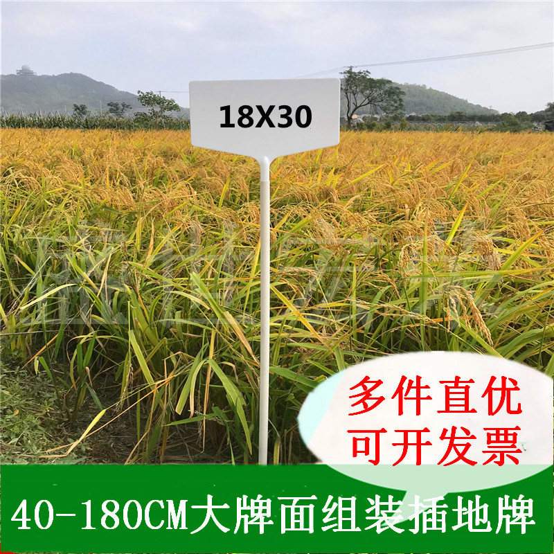 宏荣加厚加高塑料大号立体园艺插地牌园艺标签标识牌插牌指示牌