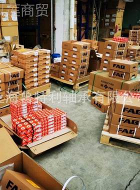 舍弗勒深沟球轴承BGN FAG轴承6630 63010 6302 303 56304 630ZZ.2