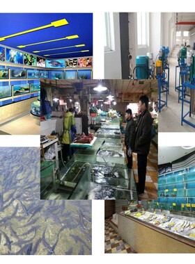 森森ACO打氧机大功率交流220V电磁式气泵激光雕刻机烤鸭用增氧机