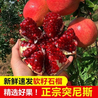 【纯甜】会理石榴当季新鲜水果突尼斯软籽石榴产地直发孕妇水果
