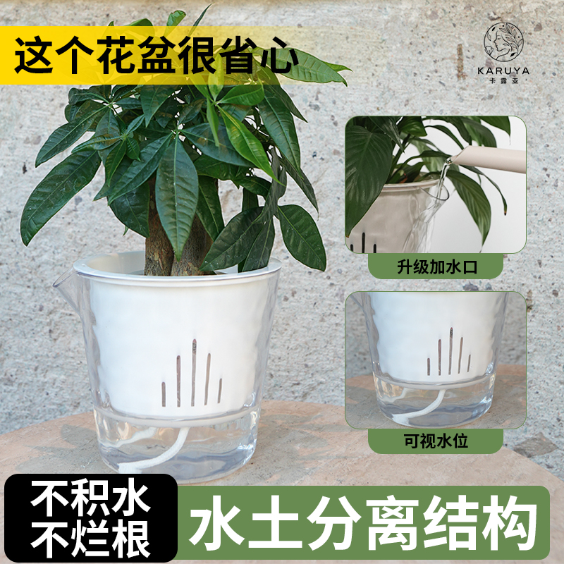 懒人花盆自吸水花盆水培养植物