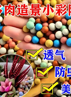 彩色陶粒颗粒花用垫底花卉铺面透气养花水培盆栽铺面石多肉营养