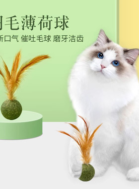 猫薄荷球羽毛磨牙逗猫棒